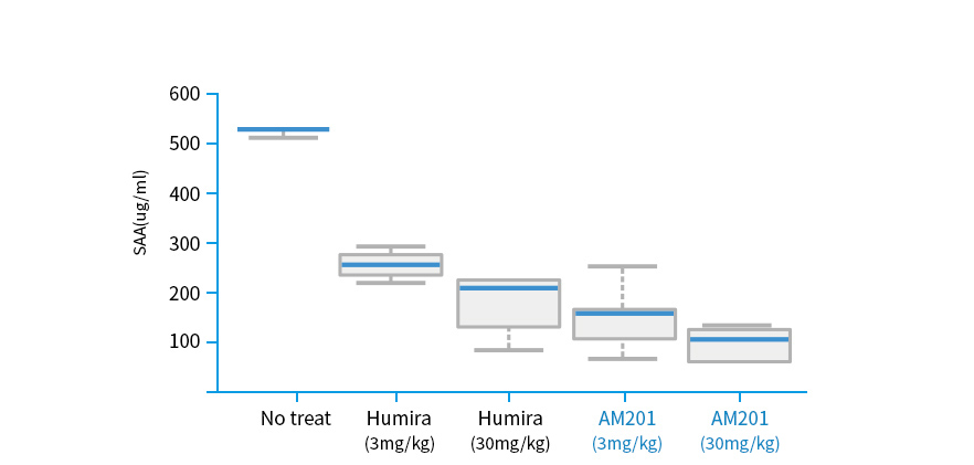 SAA(염증단백질) 동물모델에서 휴미라 대비 우수한 효과 입증